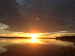 Picture